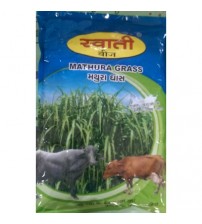 Swati Mathura Grass